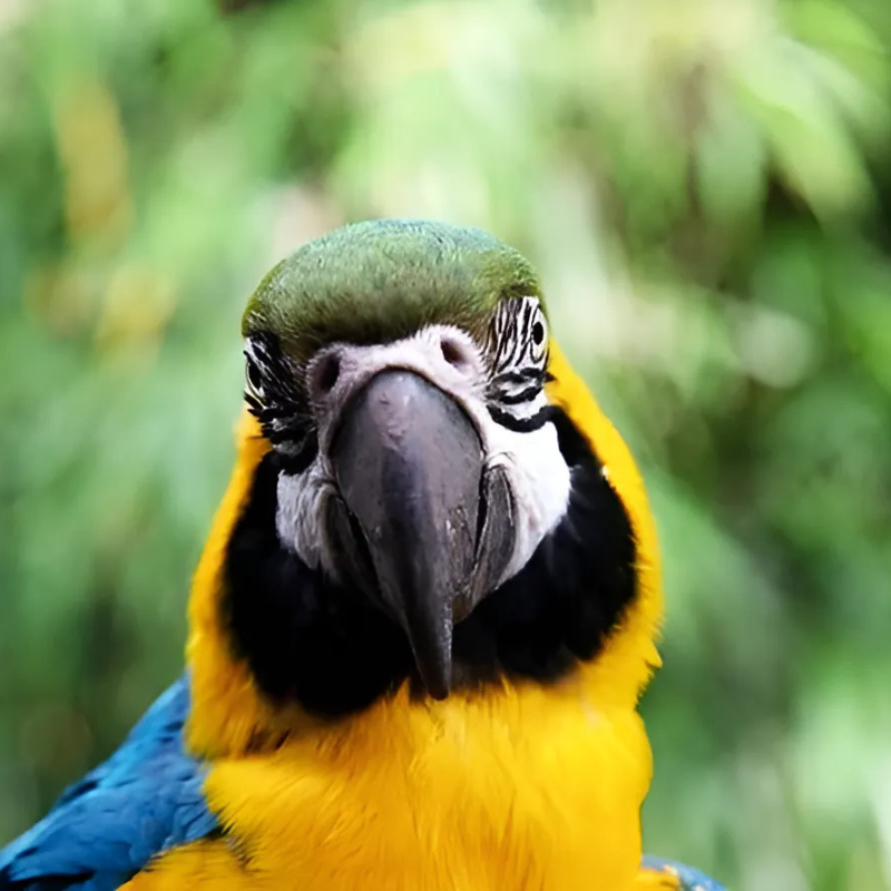 Design sem nome (18)