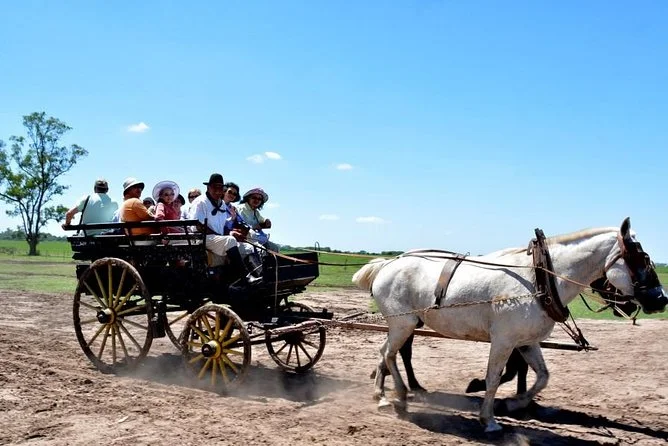 Passeios de Carruagem e Habilidades Gaúchas: O Que Esperar na Estância