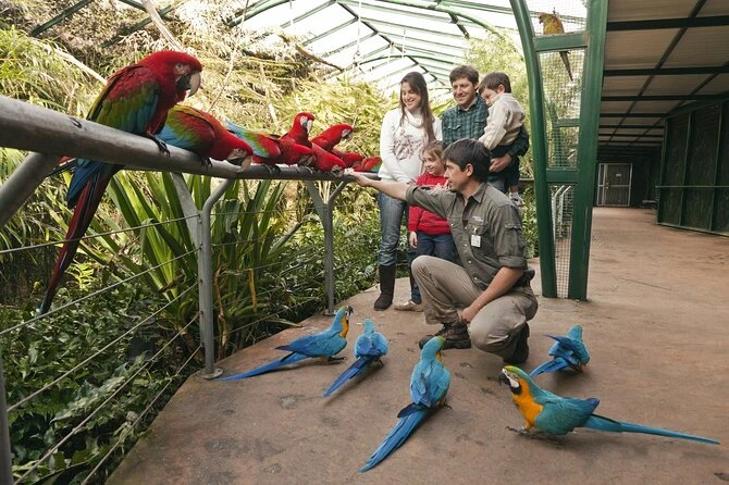 Bioparque Temaikén: Um Encontro com a Natureza a Poucos Quilômetros de Buenos Aires