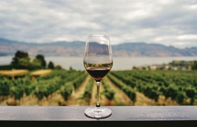 Vinhos Argentinos: Malbec e Torrontés – Guia de Degustação para Iniciantes