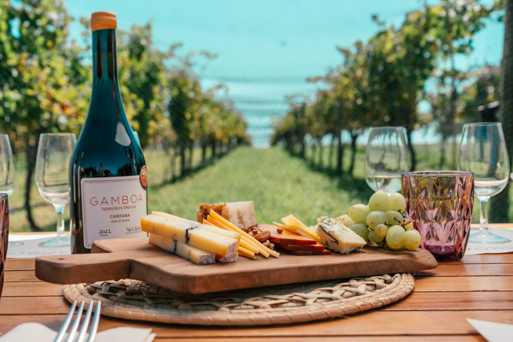 Viñedo Gamboa: Uma Experiência Completa de Vinho e Natureza Perto da Capital